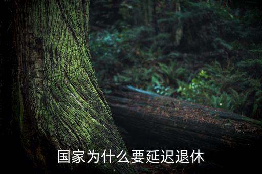 為什么要延遲退休，為什么要推遲退休年齡