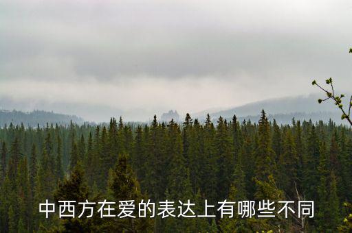 中西方在愛(ài)的表達(dá)上有哪些不同