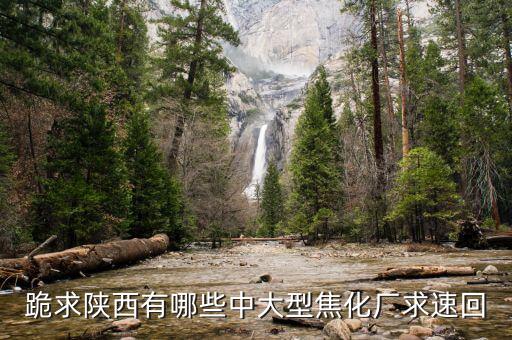 陜西有什么大的煉焦場，陜西省有大洗煤場嗎要待遇好的