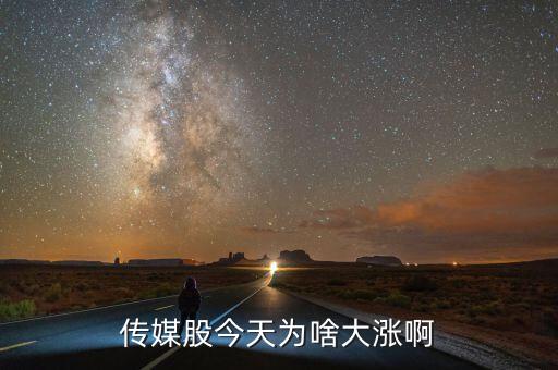 傳媒板塊大漲說(shuō)明什么，傳統(tǒng)產(chǎn)業(yè)板塊為什么大漲