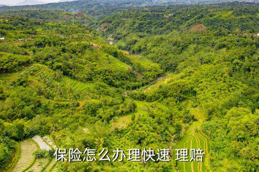 快速理賠不夠怎么辦,車險快遞理賠流程: