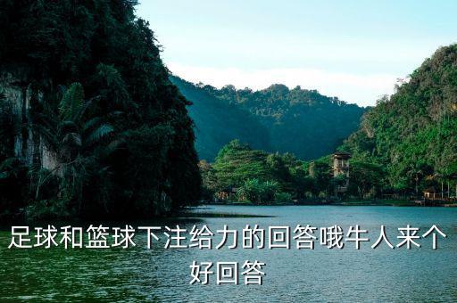 投資足球籃球有什么回報(bào)，足球和籃球下注給力的回答哦牛人來(lái)個(gè)好回答