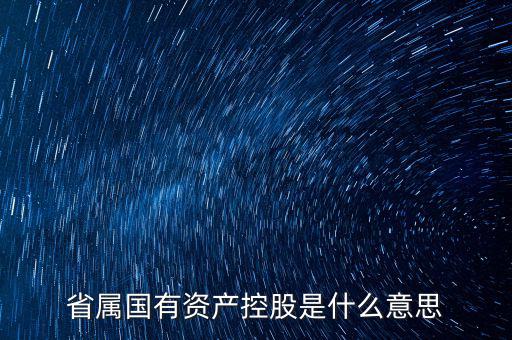 國資控股什么意思，國有資金投資占控股是什么意思