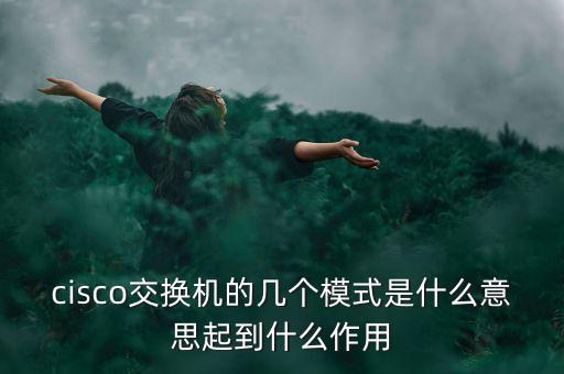 tmt究竟是什么模式，請問TMT是什么意思