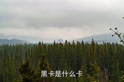 銀行卡黑卡是什么級(jí)別，黑卡是什么卡