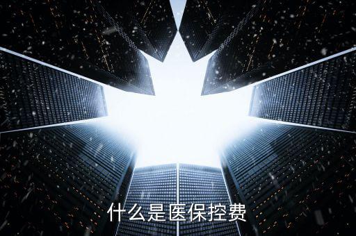 什么是醫(yī)?？刭M(fèi)
