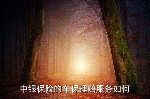 中銀保險(xiǎn)車險(xiǎn)vip客戶有什么權(quán)利，中銀保險(xiǎn)的車保理賠服務(wù)如何