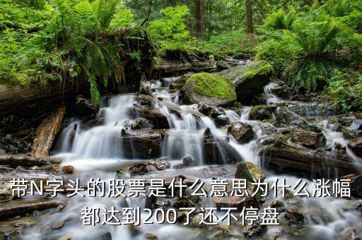 帶N字頭的股票是什么意思為什么漲幅都達(dá)到200了還不停盤(pán)