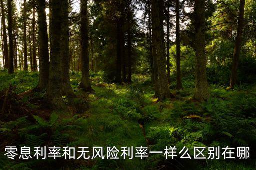 即期利率是什么，定期的利息和國期的利息是什么