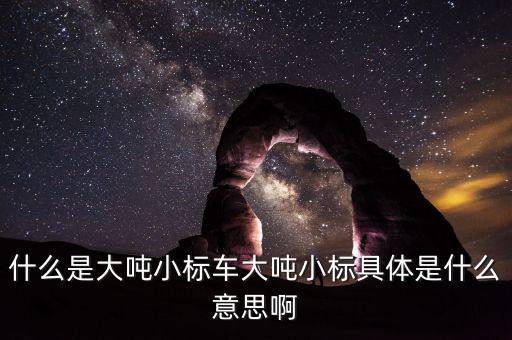 非標轉(zhuǎn)標是什么意思，上角標a是什么意思