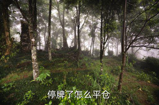 股票黑名單什么意思，股票配售黑名單是什么意思