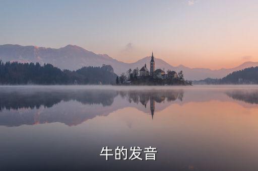 牛的發(fā)音