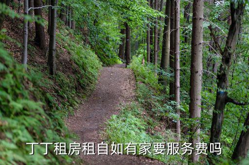 丁丁租房都收取什么費(fèi)用，丁丁租琴的費(fèi)用怎么算