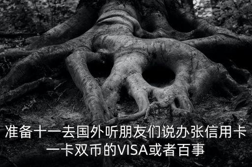 準(zhǔn)備十一去國(guó)外聽(tīng)朋友們說(shuō)辦張信用卡一卡雙幣的VISA或者百事