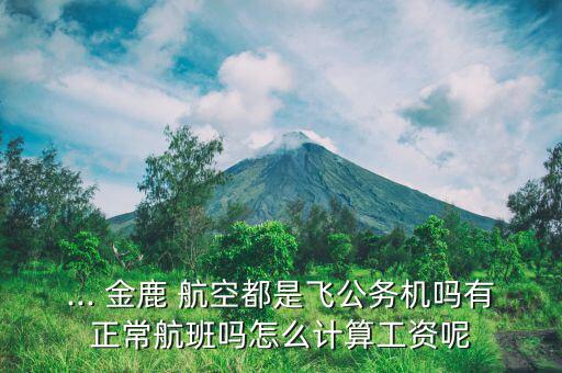 ... 金鹿 航空都是飛公務(wù)機嗎有正常航班嗎怎么計算工資呢