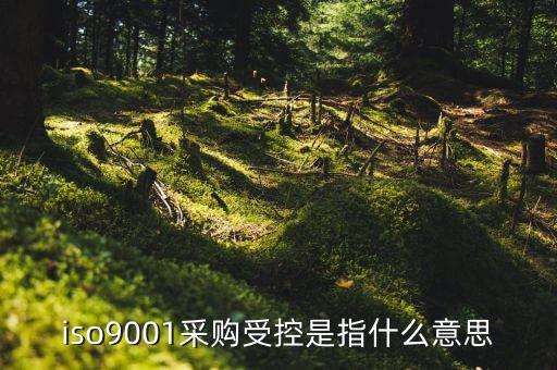 采購流程的雙控體系是什么意思，iso9001采購受控是指什么意思