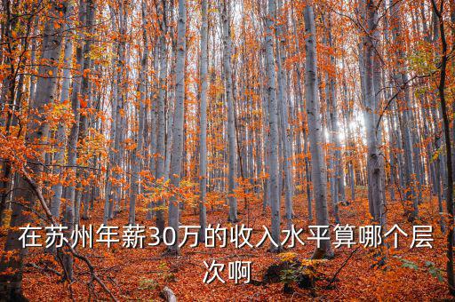 年薪三十萬元處于什么階層，在蘇州年薪30萬的收入水平算哪個層次啊