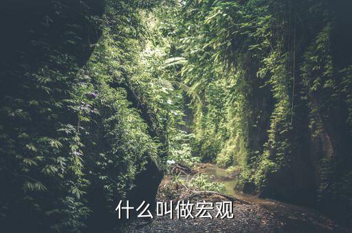 宏觀是指什么方面，什么叫做宏觀
