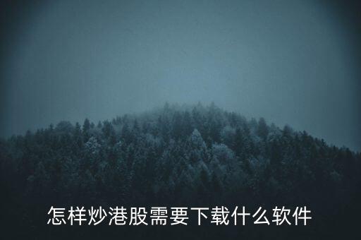 港股資金進出用什么軟件，現(xiàn)在內地的炒股滬港通用什么軟件