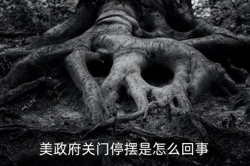 為什么美國政府關(guān)門，美國國會(huì)為什么關(guān)門