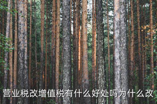 為什么營改增，營改增有什么意義和影響