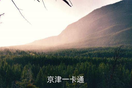 京津冀公交卡一體卡是什么樣子的，在北京辦的藍(lán)色的公交卡是可以在石家莊所有公交用了嗎還是說京津