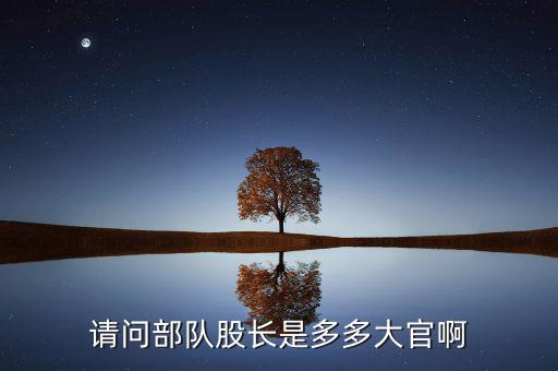 請(qǐng)問部隊(duì)股長(zhǎng)是多多大官啊