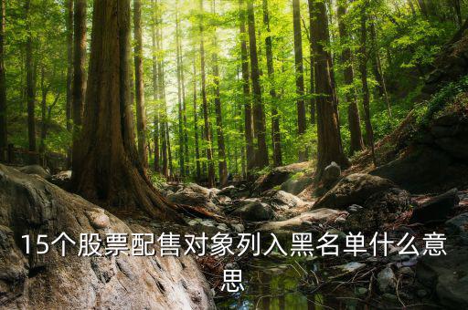 15個(gè)股票配售對象列入黑名單什么意思