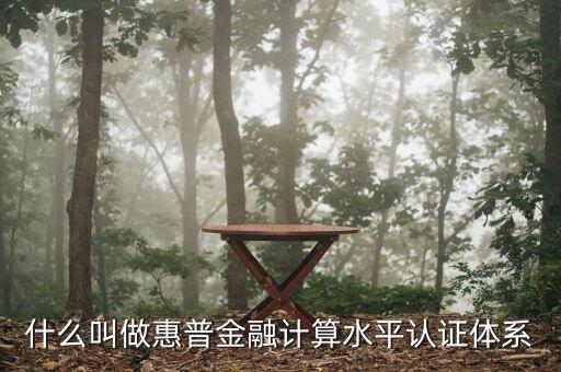 惠普金融是什么，普惠金融是什么意思