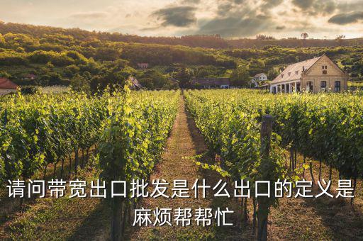 請(qǐng)問(wèn)帶寬出口批發(fā)是什么出口的定義是 麻煩幫幫忙