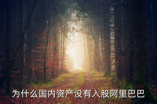 當(dāng)初為什么沒投阿里巴巴，為什么國內(nèi)資產(chǎn)沒有入股阿里巴巴