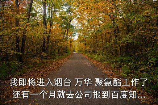 我即將進(jìn)入煙臺 萬華 聚氨酯工作了還有一個月就去公司報(bào)到百度知...