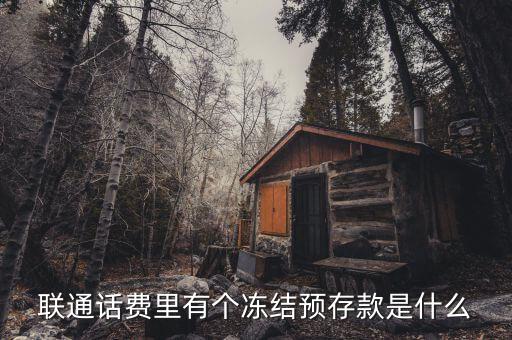 凍結(jié)預(yù)存款是什么意思，聯(lián)通話費(fèi)里有個(gè)凍結(jié)預(yù)存款是什么