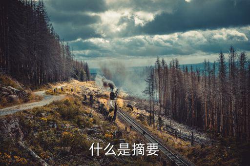 創(chuàng)業(yè)摘要是什么，什么是摘要