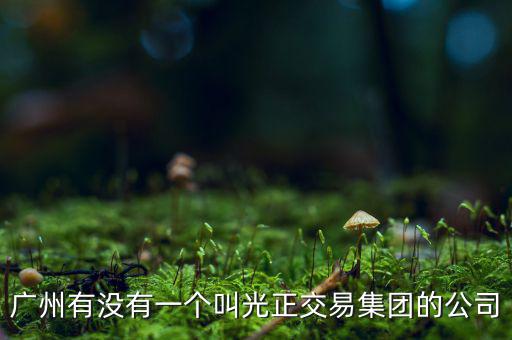 光正集團(tuán)股票公司主要生產(chǎn)什么，光正集團(tuán)股票是做什么板塊的