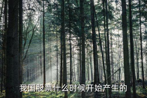 股票什么時候出來的，股票是什么時候出現(xiàn)的從世界范圍看