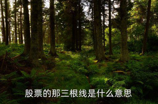 股票三線是什么意思，什么是 股票的三線理論