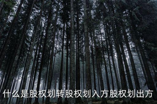 劃轉是什么意思，什么是股權劃轉股權劃入方股權劃出方