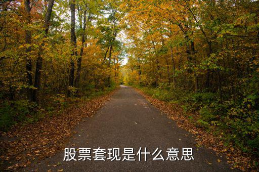 股票套現(xiàn)什么意思，股票當(dāng)中的套現(xiàn)是什么意思