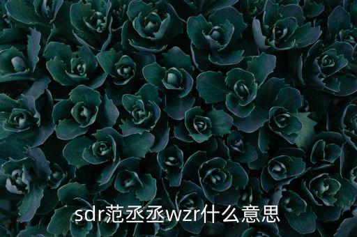 sdr范丞丞wzr什么意思