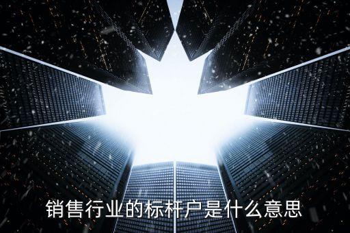銷售行業(yè)的標(biāo)桿戶是什么意思
