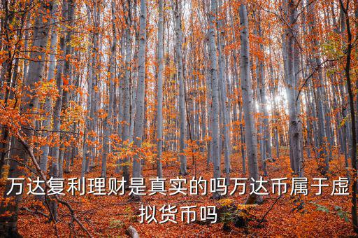 萬達貨幣是什么，萬達復利理財是真實的嗎萬達幣屬于虛擬貨幣嗎