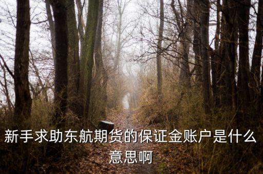 金保證財富管理和東航什么關(guān)系，國鼎旗下的可溯貸資金安全嗎