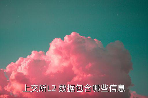 股票l2什么意思，股票標(biāo)示 融 深股通 L1是什么意思