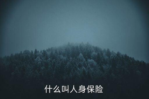 什么叫人身保險(xiǎn)