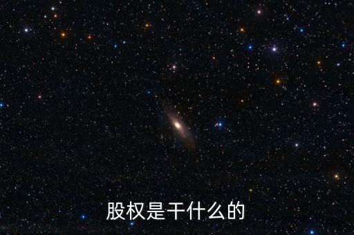 股權(quán)是干什么的