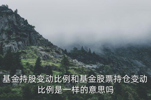 變動(dòng)比例是什么，基金持股變動(dòng)比例和基金股票持倉變動(dòng)比例是一樣的意思嗎