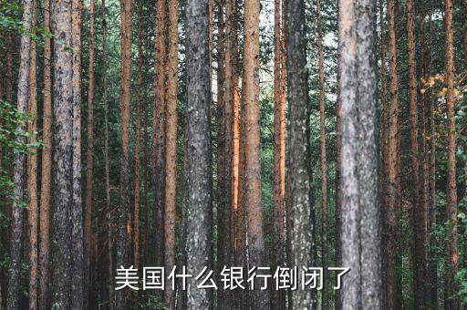 什么銀行倒閉了，美國什么銀行倒閉了