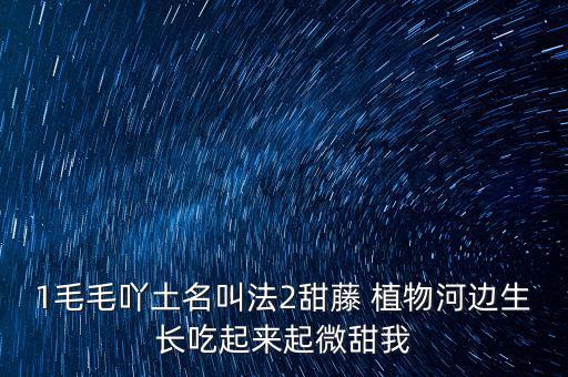 安徽有個(gè)什么林紙業(yè)，坐幾路公交車去安徽華泰林漿紙有限公司
