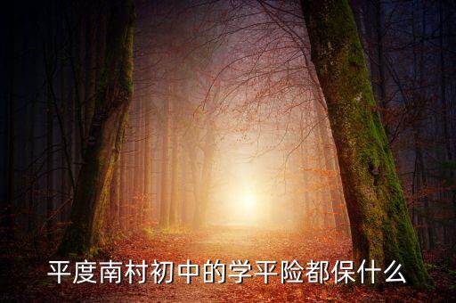 學(xué)平險保些什么，中國人壽60元的學(xué)平險保什么